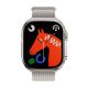 Hoco AS101 Apple Watch 38 / 40 / 41mm szíj, bézs
