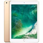iPad 5