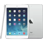 iPad mini 2